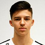 Tarik Muharemovic