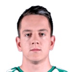Amir Hadziahmetovic