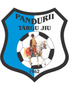 ACS Viitorul Pandurii Targu Jiu II