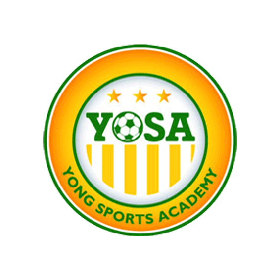 Young Sports Academy