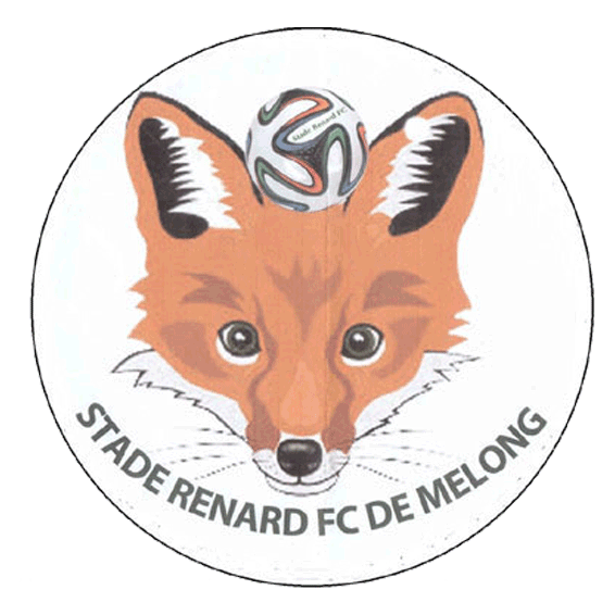 Stade Renard