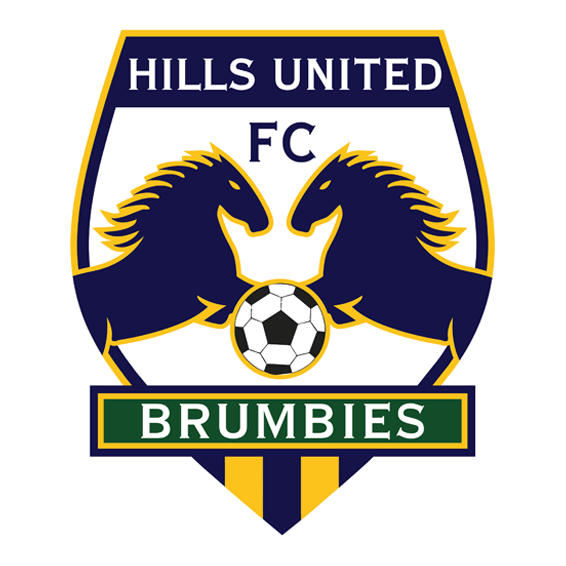 Hills Brumbies