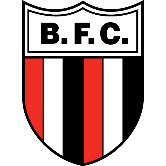 Botafogo SP flag