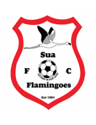 Sua Flamingoes