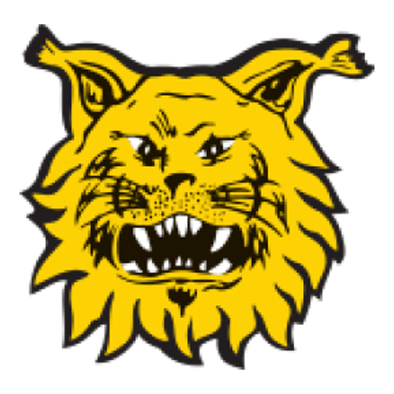 Ilves/2