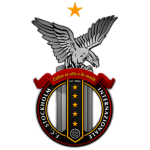 FC Stockholm Internazionale flag