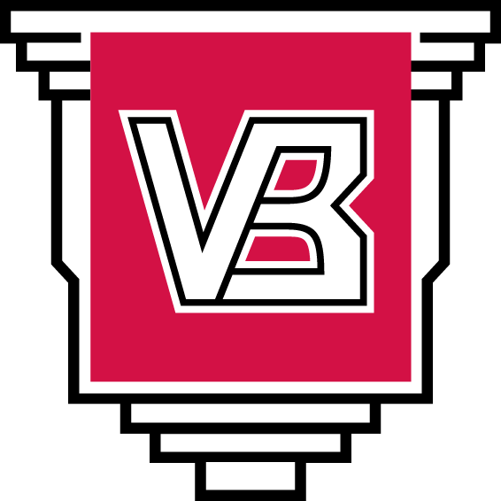 Vejle Boldklub