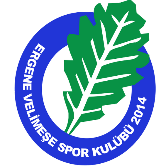 Ergene Velimese Spor