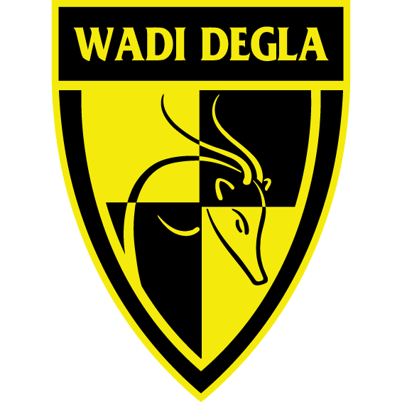 Wadi Degla FC
